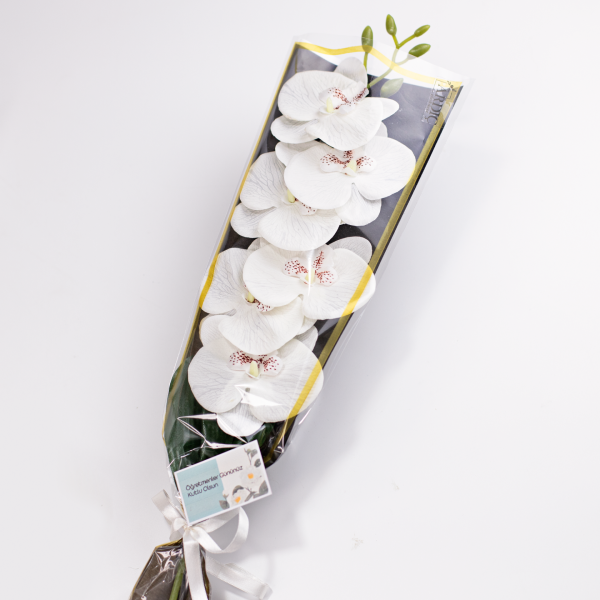 Öğretmenler Günü Tek Dal Orkide