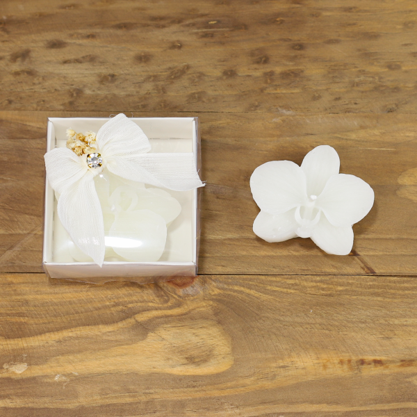 Mini Orkide Mum 12'li